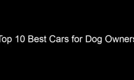 Top 10 Best Cars for Dog Owners