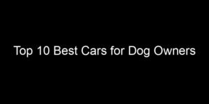 Read more about the article Top 10 Best Cars for Dog Owners